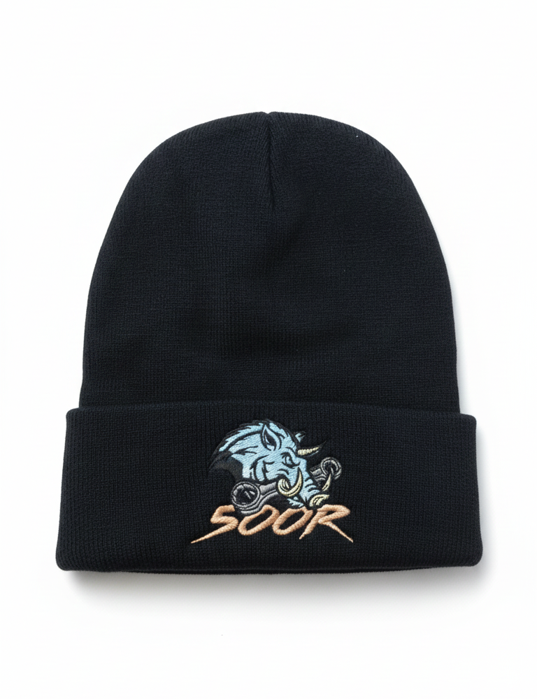 Bonnet 500GLION noir