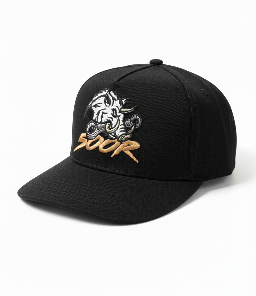 Casquette 500GLION Baseball